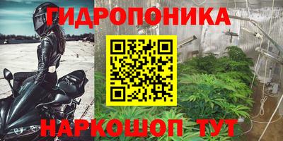 кокаин Будённовск