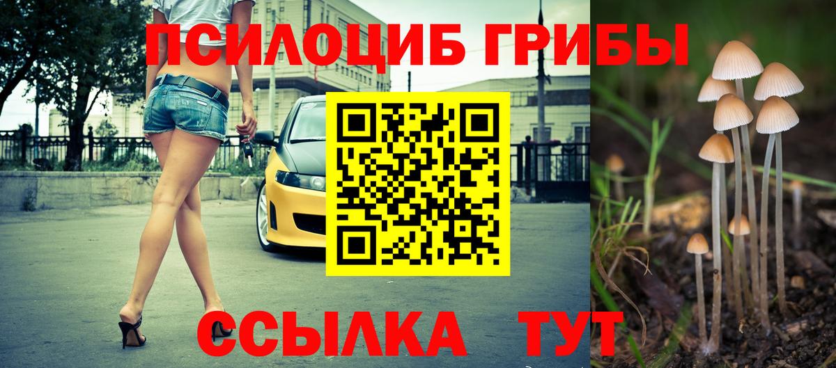 Галлюциногенные грибы MAGIC MUSHROOMS Заречный